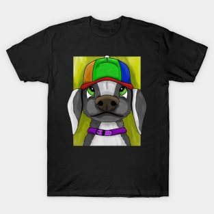 lgbt dog T-Shirt